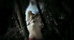 Barbara Goenaga Nude » Celebs Nude Video - NudeCelebVideo.Net