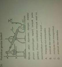 We did not find results for: Proses Pembuatan Minyak Atsiri Memanfaatkan Perubahan Wujud Ilustrasi