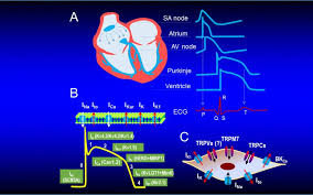 Research Yue Lab