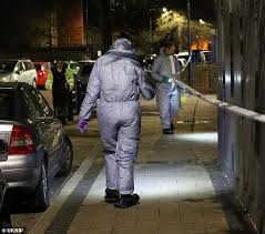 Two Men And A Dog Stabbed In Fight In Peckham South London After Funeral Wake Readsector