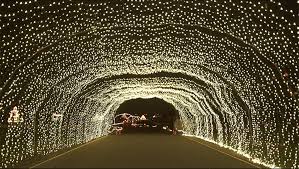 Special Events Pir Christmas Light Show Winter Wonderland Christmas Light Show Light Show Christmas Lights