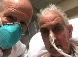 Un camello suelto mató a dos personas y atacó a varios policías en  Tennessee