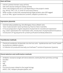 What are cell lines used for. Recombinant Stable Cell Line Development Selvita