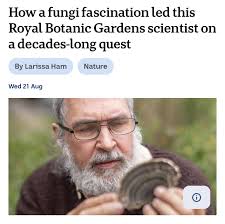 What are these mushrooms?