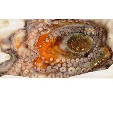 Cocer pulpo como un auténtico profesional es facil. Pulpo Fresco 3kg Pescado A Casa Comprar Marisco