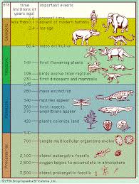 Evolutionary Timeline To Date Related Keywords Suggestions