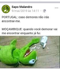 Risadas Do Sapo Home Facebook Ê, filho da sorte eu sou vento sopra a meu favor (bis) gira sorte, gira mundo, malandro deixa girar quem dá as cartas sou eu, pode apostar! facebook