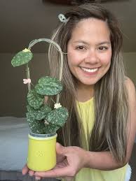 𝓛𝓾𝓬𝔂 𝓜𝓾𝓮𝓵𝓵𝓮𝓻 (@lucys.plant.tiles) · Instagram photos and videos