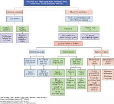 Principles Of Antimicrobial Use In Critical Care Critical