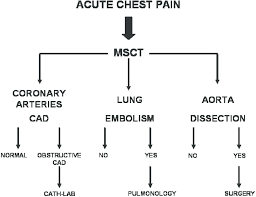 Image result for INTERCHEST Chest Pain Rule