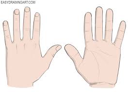 The best method for drawing hands is to start off with a simple cup shape that represents the palm. How To Draw Hands Easy Drawing Art