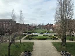 Maybe you would like to learn more about one of these? Starbucks Welwyn Garden City The Howard Ctr Updated 2021 Restaurant Reviews Menu Prices Tripadvisor