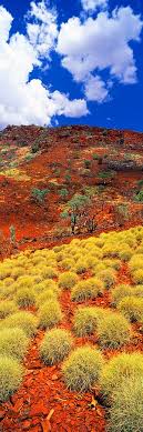 Spinifex Karijini National Park North Western Australia Christian Fletcher Photo Images Nature National Parks Landscape