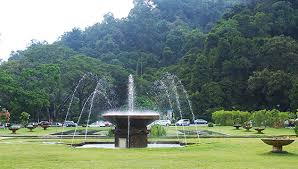 Abah ngan cik puteh ambil gambar kenangan di hadapan taman burung p.pinang. Botanic Gardens Penang Attractions Wonderful Malaysia