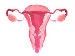 Losing Virginity 7 Things That Happen To A Girl S Body After Losing Virginity Vaginal Changes Clitoris Uterus Breasts Become Firmer Nipples Sensitive Happy Hormones Delay In Periods