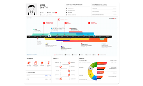 Resume Templates For Visual Resumes The Muse Visual Resume Infographic Resume Resume Examples