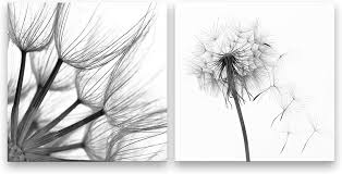 Whether you are looking for a nature print on glass, a travel themed glass print, a kitchen themed print on glass of an italian meal or herbs or any other theme that comes to mind; Art Collectibles Black And White Flower Wall Art White Flowers Painting Black Wall Hangings Charcoal Wall Decor Drawing Illustration