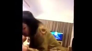 Jiika saja belum simak terus pembahasan admin kali ini, karena admin akan memberikan sedikit informasi mengenai, video viral 16 menit video viral adik kakak di twitter hotel 2021. Free Bokep Mirip Sarah Viloid Fuck Sex Videos