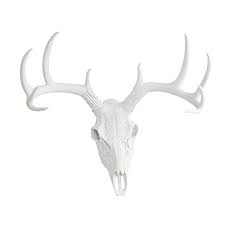 Wall Charmers Large White Faux Deer Skull 21 Inch Faux Taxidermy Animal Head Wall Decor Handmade Farmhouse Decor Buy Online In Chile At Chile Desertcart Com Productid 16409864 536 taxidermy stock video clips in 4k and hd for creative projects.