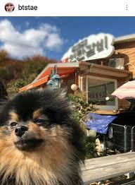 Bts Turkiye 035 2020 Bts Hayvanlar Ve Sarap Tadimi
