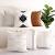 Living Room Couch Pillows
