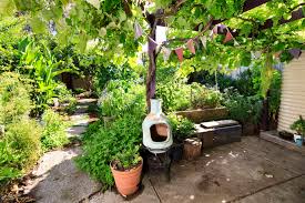 Does your backyard look as barren as the sahara? Small Space Growing Kat Lavers