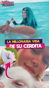 La millonaria vida que Karol G le da a su cerdita.