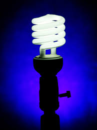 (3) lu70/u/med ed17 70w high pressure sodium light bulbs. Why People Still Use Inefficient Incandescent Light Bulbs