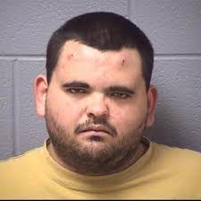 Will County Jailhouse Blotter