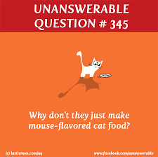 Unanswerable Question 345 For Cat S Only Jokes Quotes This Or That Questions Cartoon Quotes