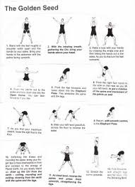 Posts About Paul Grilley On Beaconsyoga Yin Yang Yoga Yoga Sequences Yin Yang Yoga Sequence
