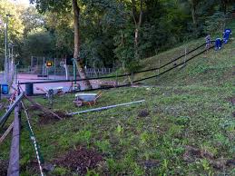 Cel mai mare parc din romania. Cel Mai Mare Parc Pentru Caini Din OraÈ™ Deschis La SfarÈ™itul Acestei SÄƒptÄƒman Radio Romania Brasov Fm