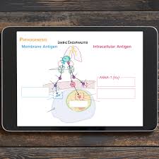 Pathology Tutorials Medical Science Nursing Notes Learning Activities