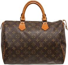 Louis Vuitton Pre-Owned Monogram Canvas Leather Speedy 30 cm Bag : Amazon.co.uk:  Shoes & Bags