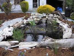 This was the pond that told the. Pin On Ponds By Yardshare