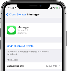 The text message is very important but i accidentally deleted it. How To Use Messages In Icloud