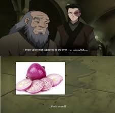 Maybe you would like to learn more about one of these? The Best The Last Airbender Memes Memedroid