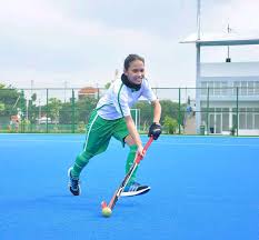 Ligue internationale de hockey sur glace) adalah induk organisasi internasional olahraga hoki es.organisasi ini diakui oleh komite olimpiade internasional (ioc). Olahraga Hoki Terlengkap Sejarah Teknik Dasar Peraturan Dan Ukuran Lapangan Wawasanku
