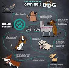 However, the traditional reason why these pets were kept is very different from the. Dog Advantages And Disadvantages