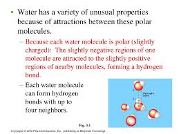 It is composed of one oxygen atom and two hydrogen atoms. Properties Of Water Polar Molecule Cohesion And Adhesion Ppt Video Online Download