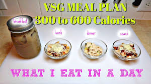 Life after gastric bypass surgery is going to be full of health and vitality for most people. Vlog 43 What I Eat In A Day Gastric Sleeve Meal Plan Low Carb Low Fat Low Calorie Meal Plan Youtube