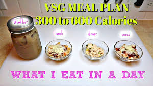 gastric sleeve meal plan