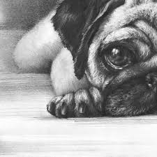 Dog Original Drawing Little Pug Wall Art Realistic Animal Drawing Dog Mama Gift Mops Drawing Mom Gift Cute Doggy Dog P Realistic Animal Drawings Pugs Cute Pugs