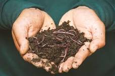 Vermicomposting: Build Your Own Worm Bin! - Tent Talk