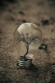 Wer Im Glashaus Sitzt Sollte Nicht Mit Steinen Werfen Bilder Surreal Artifacts Of Life Encased In Magical Light Bulbs Konzeptuelle Fotografie Surrealistische Fotografie Und Diy Deko Natur