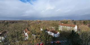 61 % der inserate dieser suche zu wohnungen langenhorn sind angebote von immobilienmaklern. Hamburgs Kleingartner Stinksauer 700 Wohnungen Geplant Parzellen Mussen Weg Hamburger Morgenpost