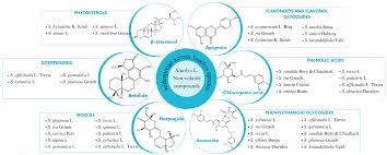 Image result for Stachys nemorivaga