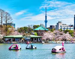 Ueno Sakura Matsuri (Cherry Blossom Festival) | The Official Tokyo Travel Guide, GO TOKYO