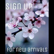 New Arrivals List Blossom Creative Flower Arrangements Blossom Flower