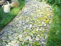 Een Groot Reservoir Van 125 Liter Vangt Het Hemelwater Op En Het Overtollige Water Loopt Via Een Overloop Weg Door De Regenpijp Via Regenton Tuin Tuin Ideeen